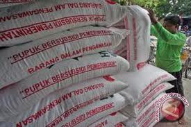  MUSIM TANAM 2017: Stok Pupuk Urea di NTB Aman